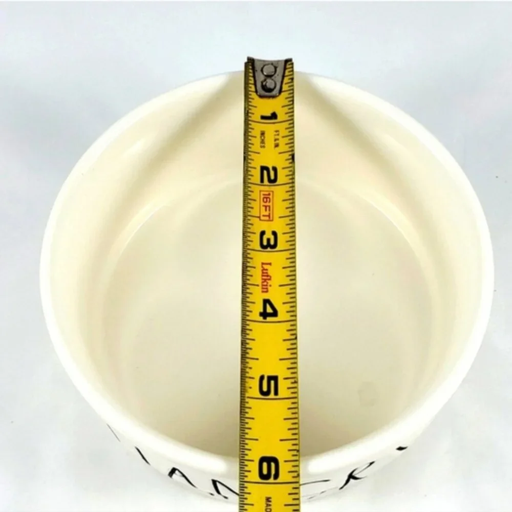 Rae Dunn White Dog Bowl Large Letters HANGRY Artisan Collection Ceramic